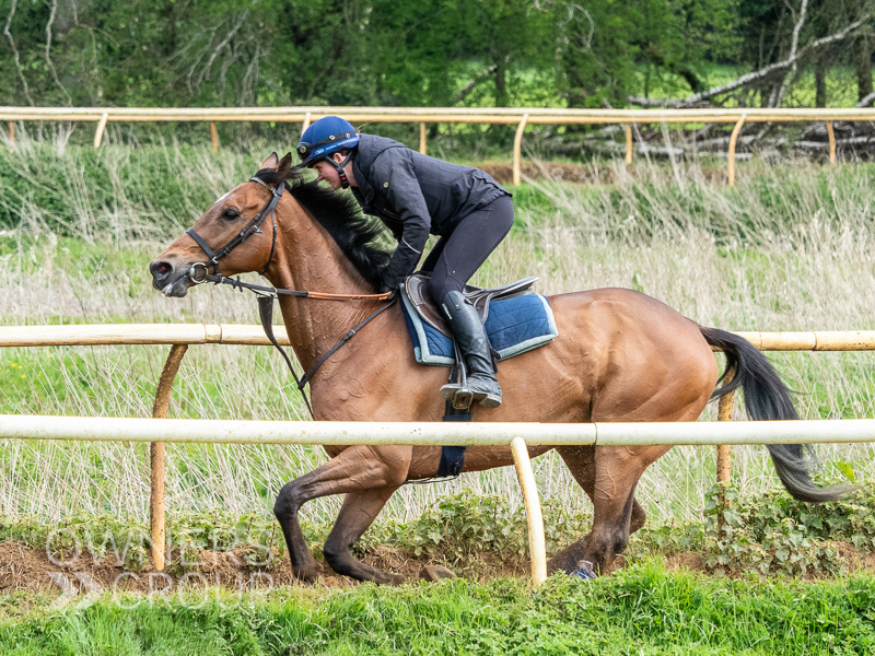 Emma Lavelle Stable Visit - 26 April 2024